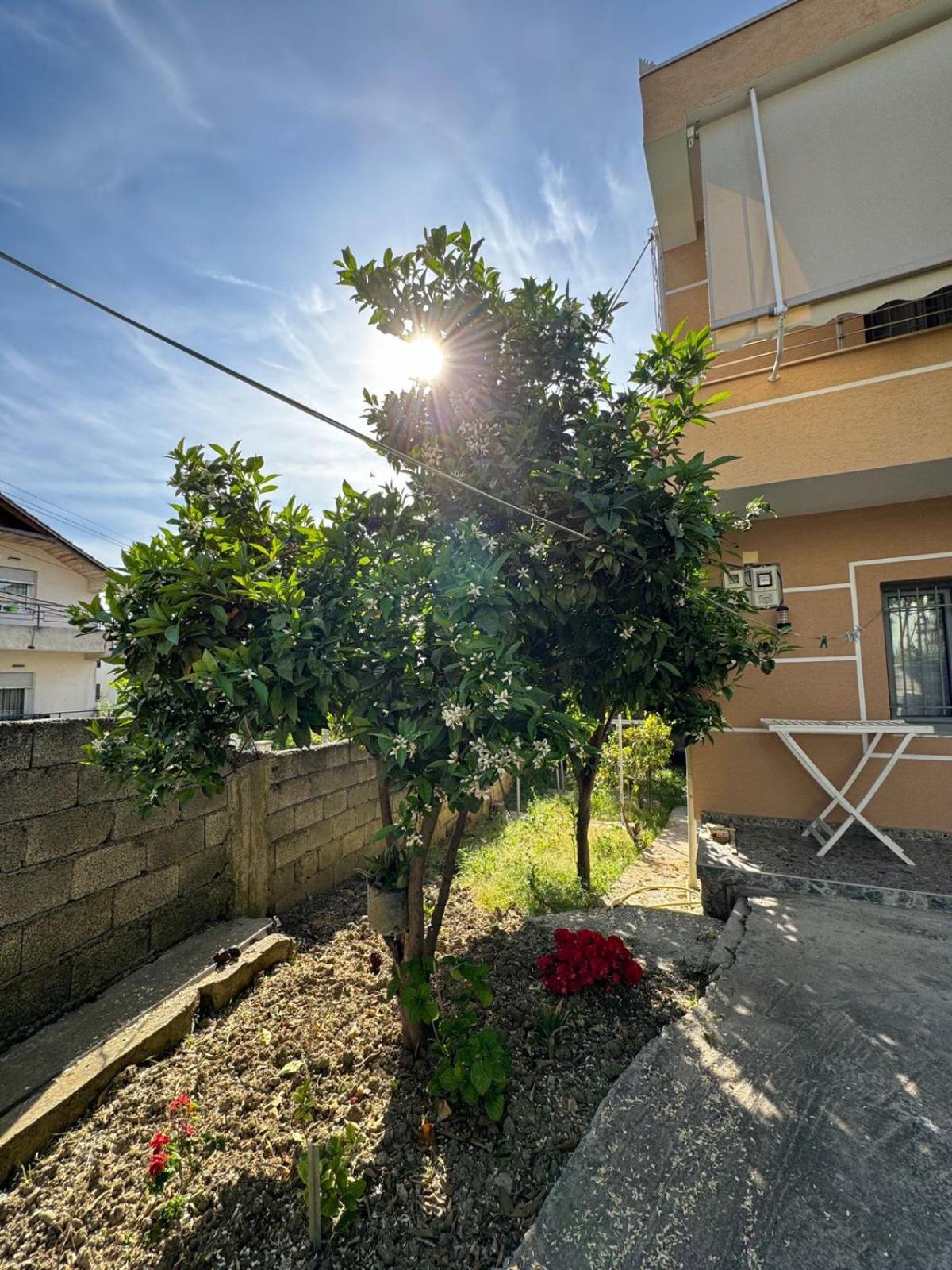 Vila Murati Tiranë Luaran gambar